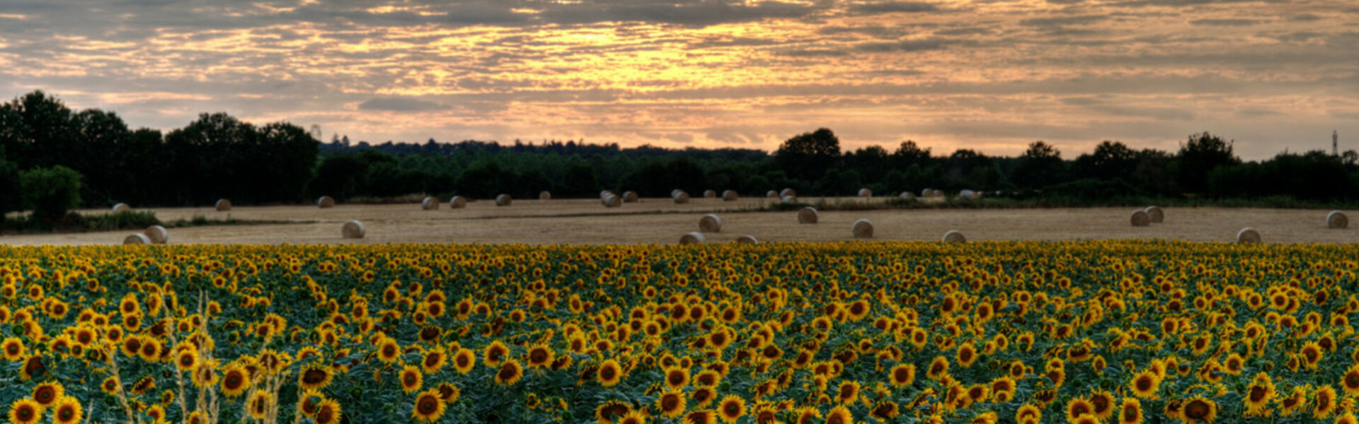 Office de Tourisme Intercommunal Sauldre et Sologne