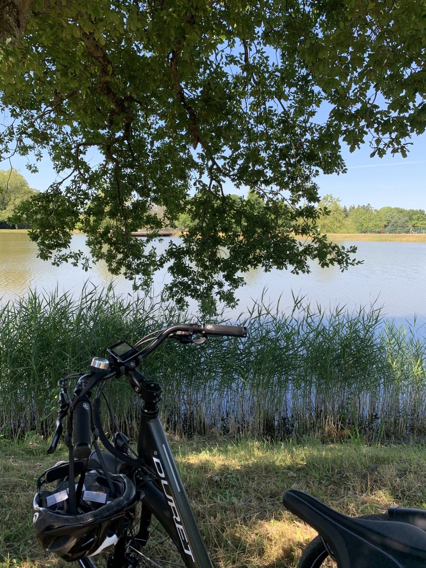 Description de l'image